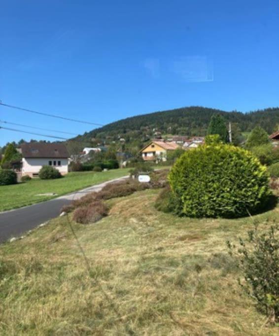 Les Deux Maisons - Little Green - Maison Cosy Proche Pistes Et Lac Gérardmer Zewnętrze zdjęcie
